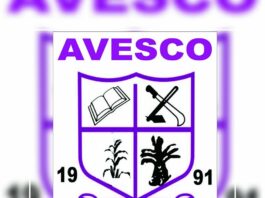 Check Out the Ave Senior High School 2022 Online Admission Process