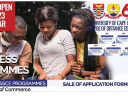 UCC Distance Undergraduate Business Programs for the 2022/23 Academic Year