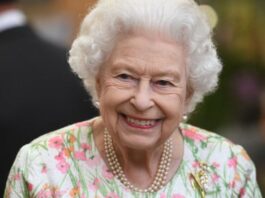 Apply for the 2024 Queen Elizabeth Commonwealth Scholarship