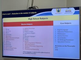 New Curriculum: MoE Reduces SHS Subjects from 63 to 37