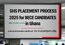 SHS Placement 2025: How to Check, Challenges to Avoid, and What Every BECE Candidate Must Know
