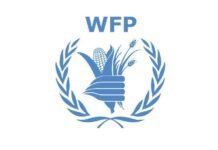 World Food Programme Announces Fresh Job Opportunities: Apply Now to Join the Fight Against Global Hunger