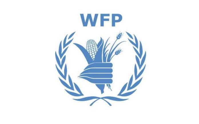 WFP World Food Programme Announces Fresh Job Opportunities: Apply Now to Join the Fight Against Global Hunger